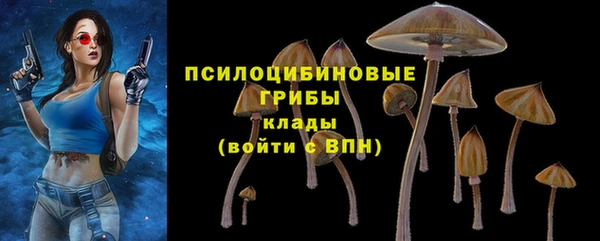 гашик Армянск
