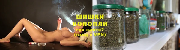 MESCALINE Аркадак