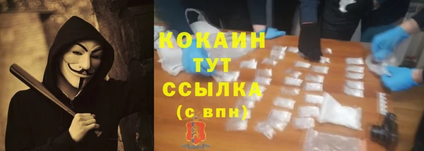 спайс Арсеньев