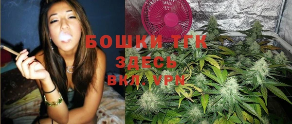 спайс Арсеньев