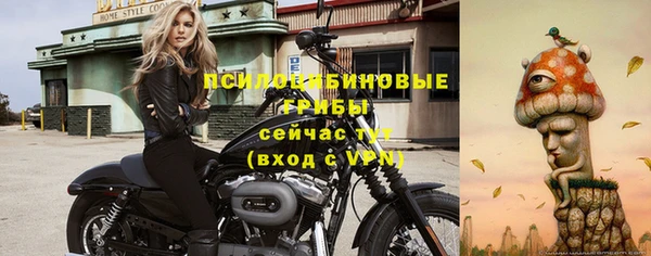 спайс Арсеньев